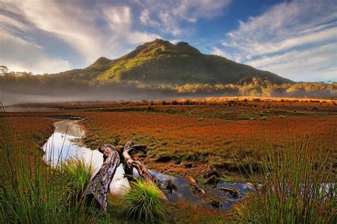 Davao Travel Guide: Top 20 Best Davao Tourist .